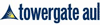 Towergate aul Ski Insurance
