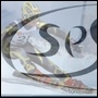 Sandown park ski race club